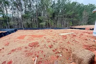 1111 Silverton Dr, Greensboro, GA 30642 - Photo 10