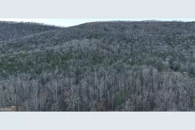 0 Hicks Hollow Road, Trenton, GA 30752 - Photo 12