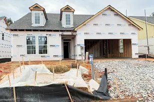 1121 Silverton Dr, Greensboro, GA 30642 - Photo 10