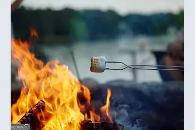 1131 Silverton Drive, Greensboro, GA 30642 - Photo 22