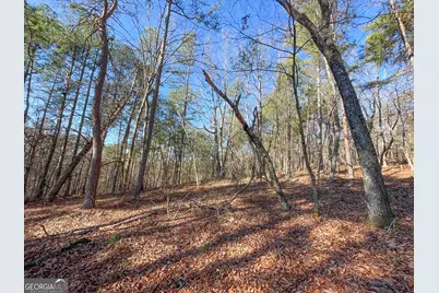 15 +/- Acres On E. Hermitage Road, Kingston, GA 30145 - Photo 18