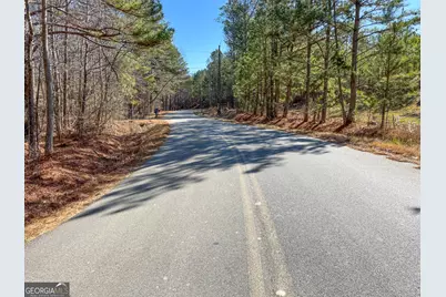15 +/- Acres On E. Hermitage Road, Kingston, GA 30145 - Photo 6
