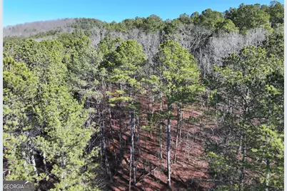 15 +/- Acres On E. Hermitage Road, Kingston, GA 30145 - Photo 22