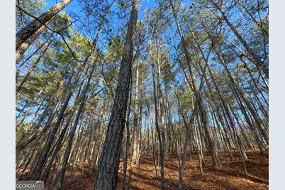 15 +/- Acres On E. Hermitage Road, Kingston, GA 30145 - Photo 24