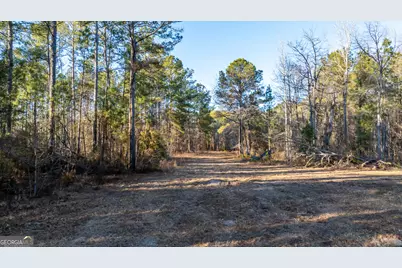 675 Jackson Road, Wrightsville, GA 31096 - Photo 4