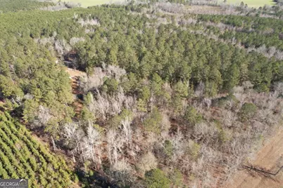 675 Jackson Road, Wrightsville, GA 31096 - Photo 1