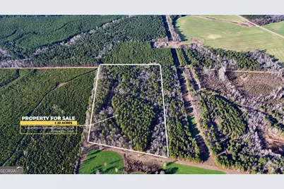 675 Jackson Road, Wrightsville, GA 31096 - Photo 1