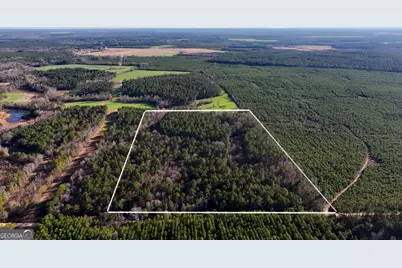 675 Jackson Road, Wrightsville, GA 31096 - Photo 2