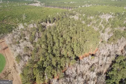 675 Jackson Road, Wrightsville, GA 31096 - Photo 12