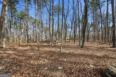 0 Mulberry Circle, Jasper, GA 30143 - Photo 6