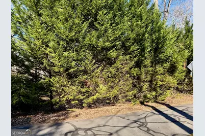 485 Imperial Drive, Martin, GA 30557 - Photo 4