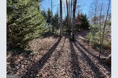 485 Imperial Drive, Martin, GA 30557 - Photo 2