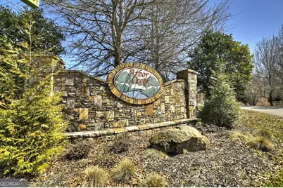 6 Arbor Creek Trail #6, Mineral Bluff, GA 30559 - Photo 16