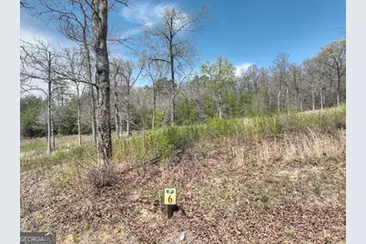 6 Arbor Creek Trail #6, Mineral Bluff, GA 30559 - Photo 10