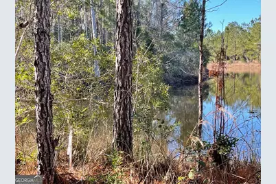 0 Landing Trail, Waynesville, GA 31566 - Photo 1