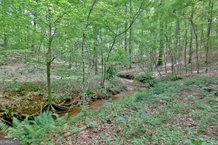 460 Morgan Mill Rd, Brooks, GA 30205 - Photo 22