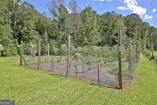 460 Morgan Mill Rd, Brooks, GA 30205 - Photo 20