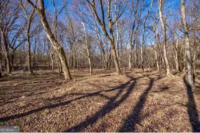 0 Lower Harmony Road, Eatonton, GA 31024 - Photo 34