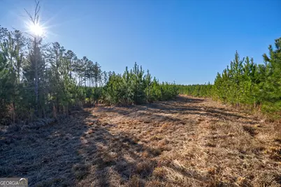 0 Lower Harmony Road, Eatonton, GA 31024 - Photo 16