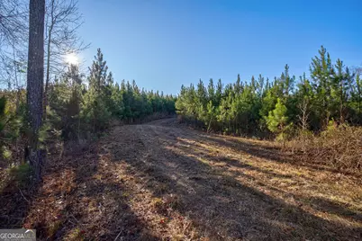 0 Lower Harmony Road, Eatonton, GA 31024 - Photo 8