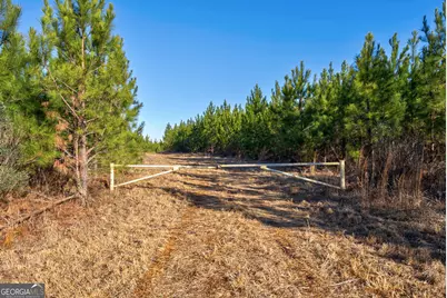 0 Lower Harmony Road, Eatonton, GA 31024 - Photo 18