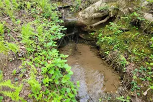 Lot27 Oak Ridge Way, Ellijay, GA 30536 - Photo 1