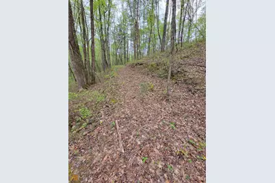 Lot27 Oak Ridge Way, Ellijay, GA 30536 - Photo 8