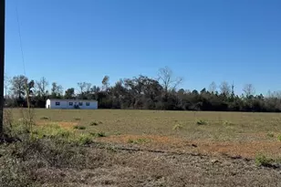 805 Smart Rd, Alma, GA 31510 - Photo 30