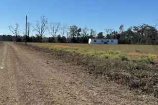 805 Smart Rd, Alma, GA 31510 - Photo 28