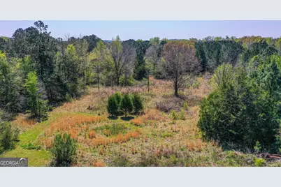 2532 High Falls Road, Griffin, GA 30223 - Photo 14