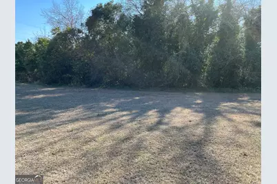 139 S Jackson Street, Hawkinsville, GA 31036 - Photo 10