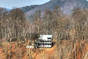 1186 Walnut Ridge, Ellijay, GA 30536 - Photo 24