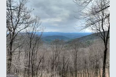 1186 Walnut Ridge, Ellijay, GA 30536 - Photo 30