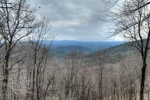 1186 Walnut Ridge, Ellijay, GA 30536 - Photo 30