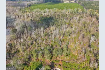 481 Turner Road, Concord, GA 30206 - Photo 44