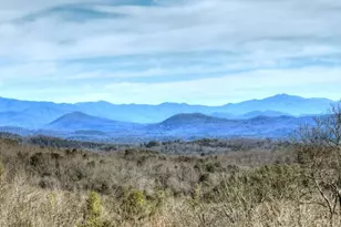 187 Mahoosec Trail, Mineral Bluff, GA 30559 - Photo 60