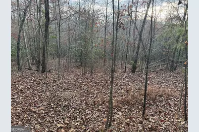 28/32 Stuart Ridge Road, Mineral Bluff, GA 30559 - Photo 6