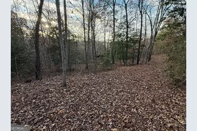 28/32 Stuart Ridge Road, Mineral Bluff, GA 30559 - Photo 4