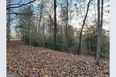 28/32 Stuart Ridge Road, Mineral Bluff, GA 30559 - Photo 2