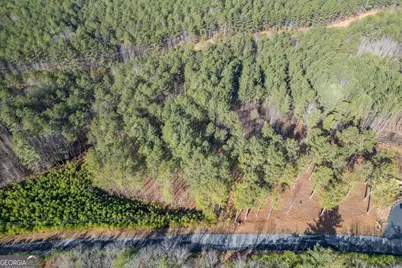 Lot 74 Thirteen Hundred, Blairsville, GA 30512 - Photo 6