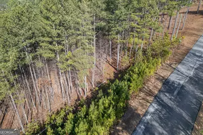 Lot 74 Thirteen Hundred, Blairsville, GA 30512 - Photo 24