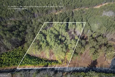 Lot 74 Thirteen Hundred, Blairsville, GA 30512 - Photo 1