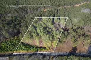 Lot 74 Thirteen Hundred, Blairsville, GA 30512 - Photo 1