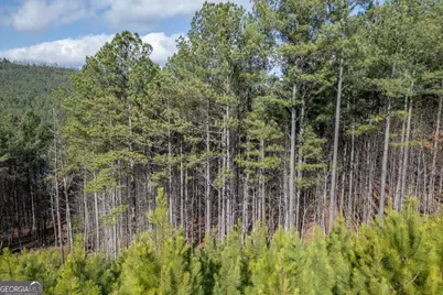 Lot 74 Thirteen Hundred, Blairsville, GA 30512 - Photo 22