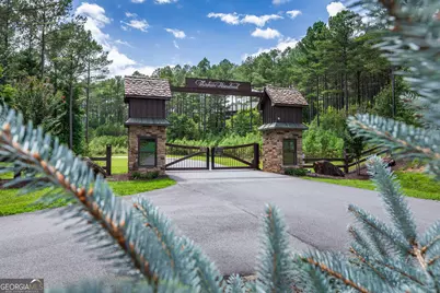 Lot 74 Thirteen Hundred, Blairsville, GA 30512 - Photo 38