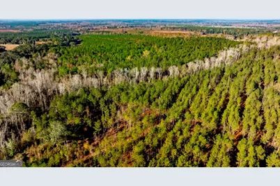 0 S Highway 19 & Warm Spring Road, Glenwood, GA 30428 - Photo 10