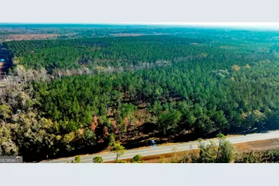 0 S Highway 19 & Warm Spring Road, Glenwood, GA 30428 - Photo 8