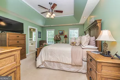 121 Grape Creek Road, Milner, GA 30257 - Photo 20