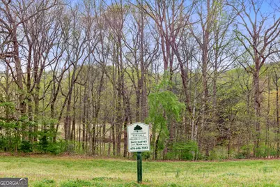 0000 Granny Smith Circle, Clarkesville, GA 30523 - Photo 8