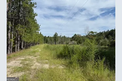 1655 Starling Road, Pembroke, GA 31321 - Photo 6